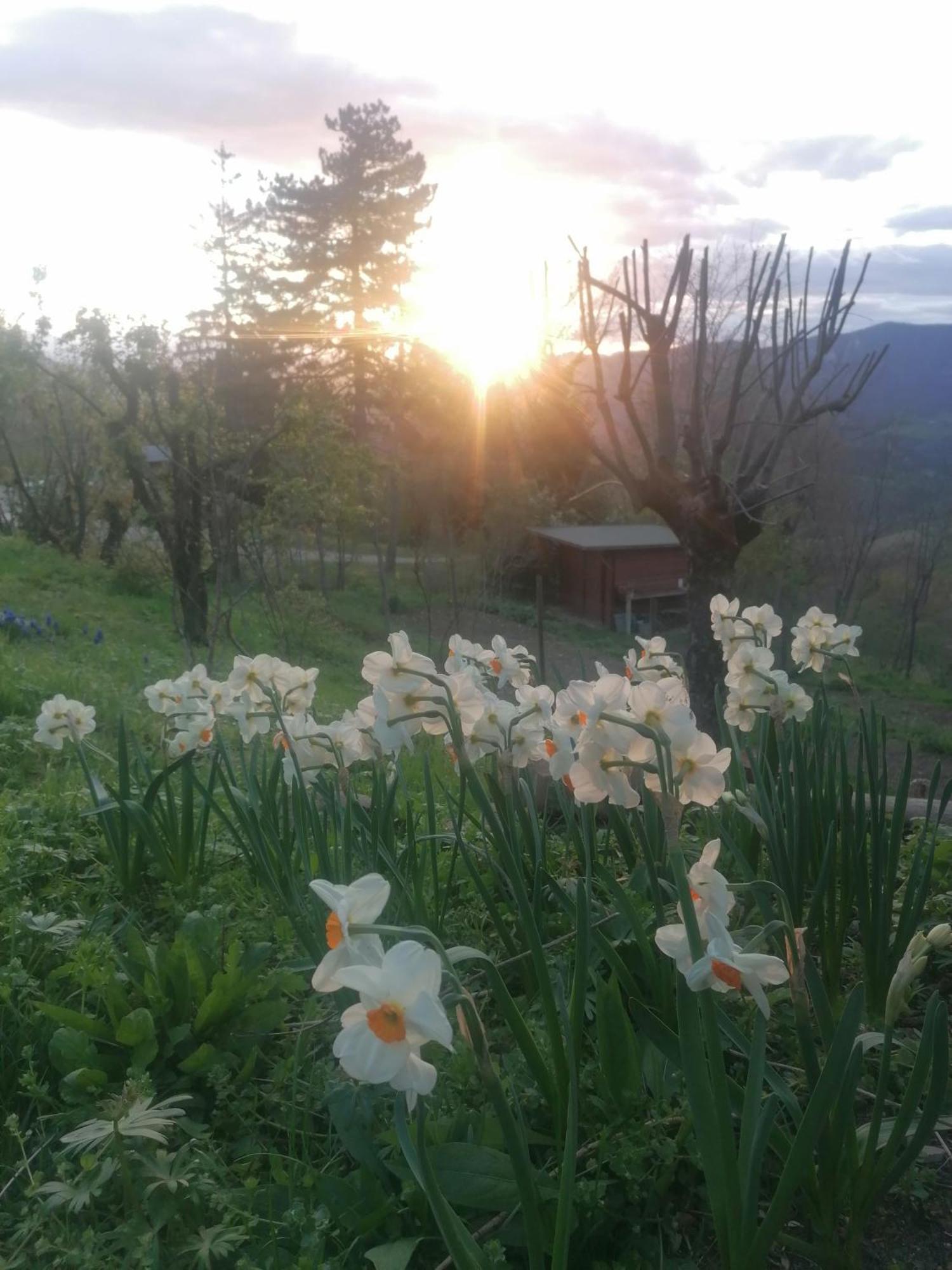 Ca' Dei Ste Bed & Breakfast Valle  Eksteriør bilde